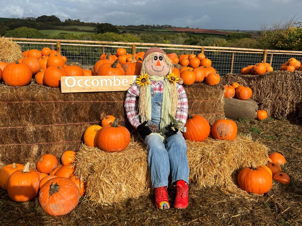 The Big Occombe Scarecrow Trail Torbay Coast Countryside Trust