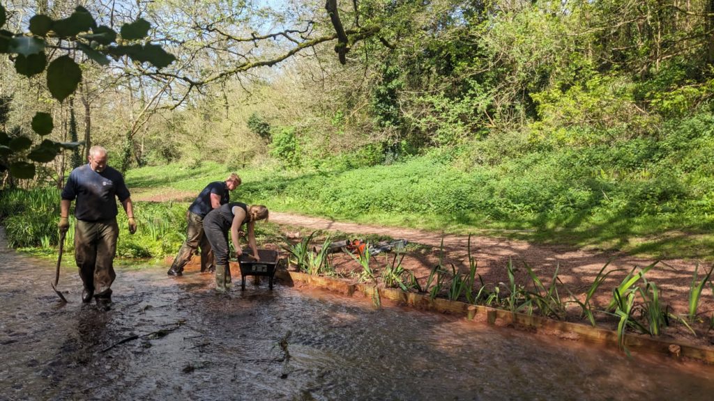 Cockington Water Meadows Torbay Coast Countryside Trust