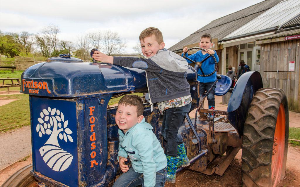 Occombe Farm Kids Play