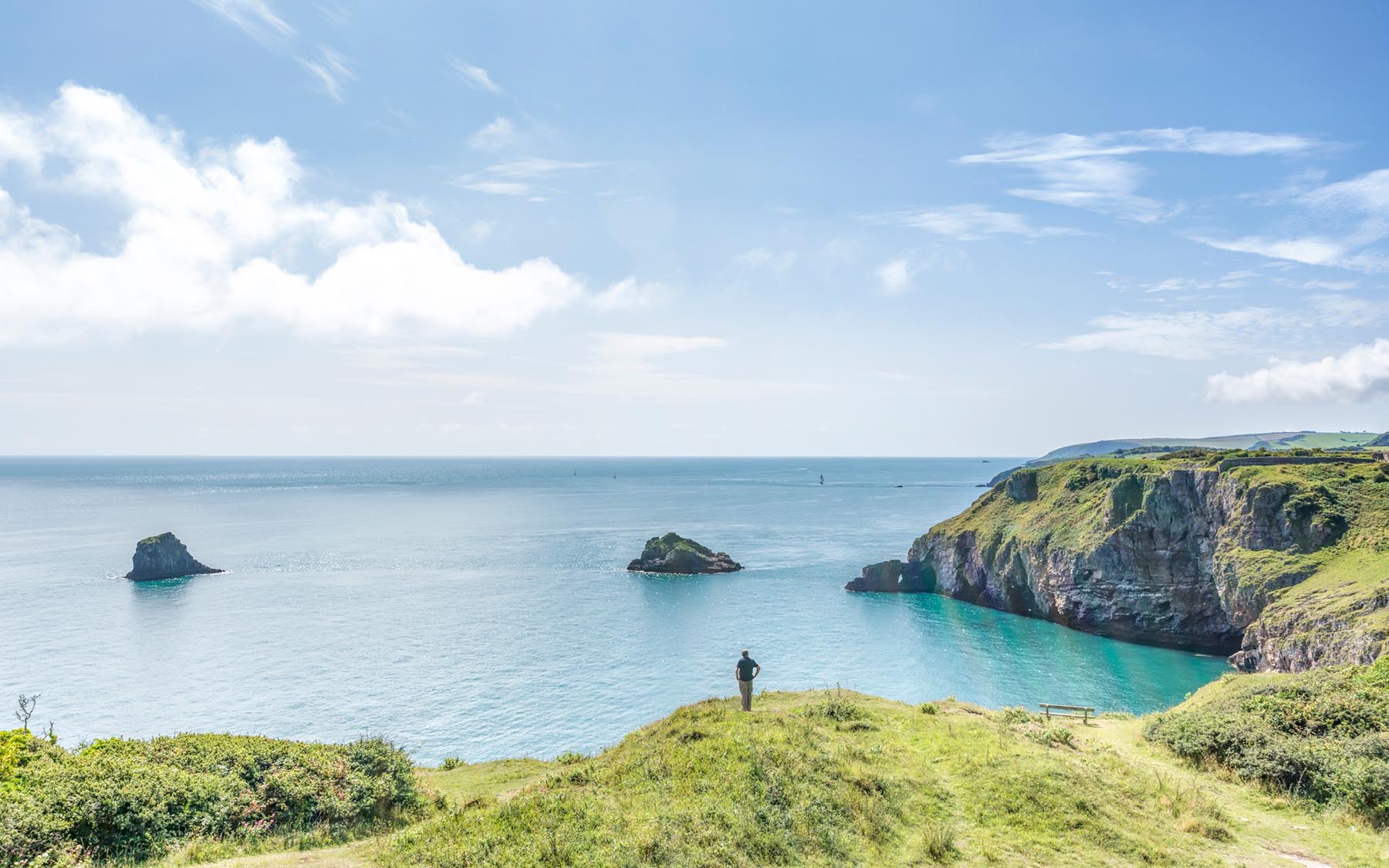 Berry Head cliff top view