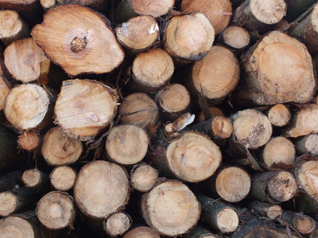 Logs wood